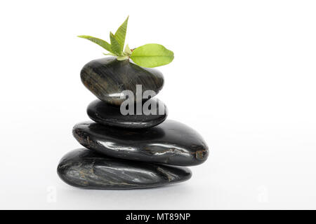 Grüne Blätter liegen auf Schwarz balancing Steine auf weißem Hintergrund Stockfoto