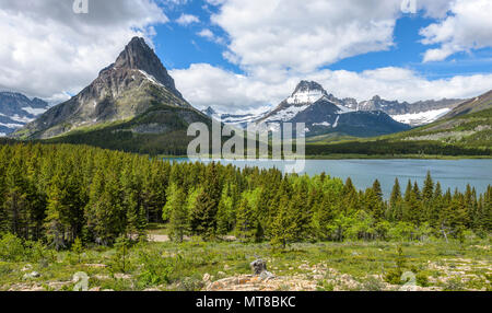 Mount Grinnell und Mount Wilbur - einen herrlichen Frühling Blick auf Mount Grinnell und Mount Wilbur hoch über swiftcurrent Lake in vielen Gletscher. Stockfoto