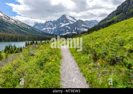 Spring Mountain Trail - ein Wanderweg wicklung Richtung Mount Gould in einem blühenden Tal am Ufer des Sees von Josephine im Glacier National Park, Montana. Stockfoto