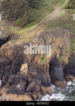 Ein Surfer, in schwarzem Anzug, sitzt auf einer Klippe in der Nähe der Yaquina Head Lighthouse in Newport, Oregon, nachdem er versuchte in Sicherheit zu klettern, 13. Mai 2018. Der Küstenwache aircrew an Bord einer MH-65 Dolphin Helikopter form Einrichtung, Newport gehisst, den Mann zu Sicherheit und keine medizinischen Bedenken wurden berichtet. U.S. Coast Guard Foto von Leutnant Justin Bank. Stockfoto