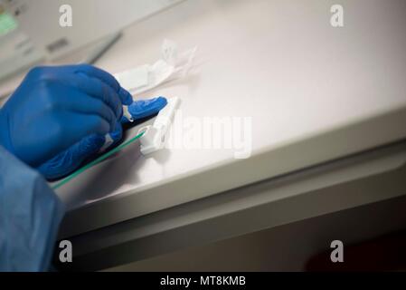 Us Air Force Staff Sgt. Mayra Autagne, 18 medizinische Gruppe Lab Technician, führt eine schnelle Streptobakterie Test Mai 14, 2018, bei Kadena Air Base, Japan. Labortechniker testen Sie verschiedene Arten von Bakterien in kleinen Platten. Nachdem die Bakterien beginnen sich zu vermehren, wird es als "Kultur bekannt." (U.S. Air Force Foto von älteren Flieger Quay Drawdy) Stockfoto