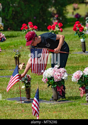 HAUGHTON, LA, USA - 28. MAI 2018: Ein freiwilliger Orten Fahnen auf die Gräber der Kriegsveteranen. Credit: Allen J.M. Smith/Alamy leben Nachrichten Stockfoto