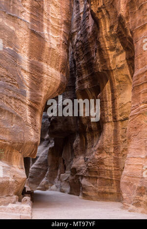 Der Siq, Sandstein Canyons in Petra, Jordanien, auf dem Weg zum Treasury Stockfoto