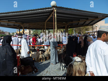 Omanische Männer, Kauf und Verkauf von Vieh auf dem Markt, Ad-Dakhiliyah Region, Nizwa, Oman Stockfoto