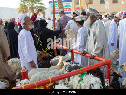 Omanische Männer, Kauf und Verkauf von Vieh auf dem Markt, Ad-Dakhiliyah Region, Nizwa, Oman Stockfoto