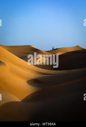 Dünen in der Rub al Khali Wüste, Dhofar Governatorat, Rub al Khali, Oman Stockfoto