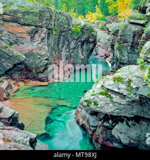 Abgelegene Schlucht und fallen Farben entlang mcdonald Creek im Glacier National Park, Montana Stockfoto