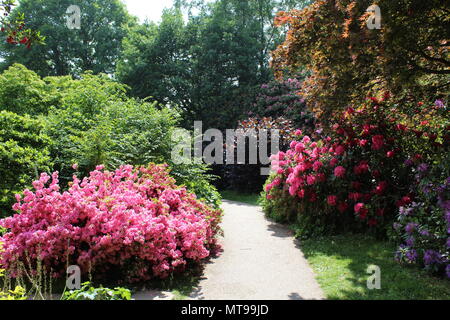 Gärten in Emmetts Garden National Trust Stockfoto