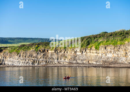 Schiefer ciffs (tonsteine, dünne Schiefer- und beständig gelb-braun Dolomiten auch als Stein Bands) bei Kimmeridge Bucht in Dorset, England, Großbritannien Stockfoto