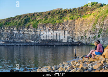 Schiefer ciffs (tonsteine, dünne Schiefer- und beständig gelb-braun Dolomiten auch als Stein Bands) bei Kimmeridge Bucht in Dorset, England, Großbritannien Stockfoto