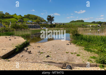 Slapton Ley Naturschutzgebiet Torcross Slapton Sands in der Nähe von Devon, Großbritannien Stockfoto