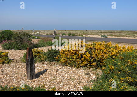 Derek Jarman's berühmten Garten um Prospect Cottage in einem ehemaligen Fischerhaus auf dem Kies in Dungeness, Kent erstellt Stockfoto