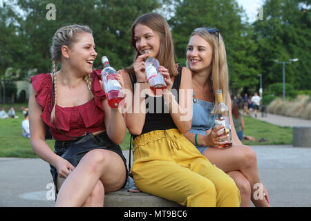 Drei junge Frauen trinken Wein in ein Brighton Park Stockfoto