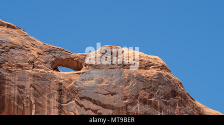 Felszeichnungen entlang des Colorado River in der Nähe von Moab, Utah. Stockfoto