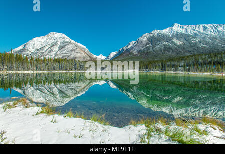 Perfekte Reflektion der schneebedeckten Berge auf Spiegel noch alpinen See, Teich, Tarn. Baumgrenze und Wald spiegelt sich auf blaues Wasser, blauen wolkenlosen Himmel. Stockfoto