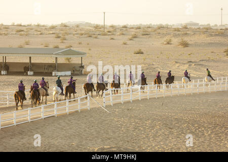 Gruppe von endurance Riders in der Wüste. Abu Dhabi Stockfoto