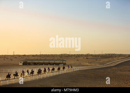 Gruppe von endurance Riders in der Wüste. Abu Dhabi Stockfoto