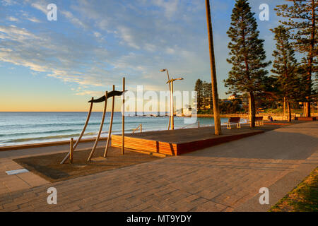 Dee Why Strand bei Sonnenaufgang, Dee Why, Sydney, New South Wales (NSW), Australien. Schönen Sonnenaufgang an Dee Why Strand an der berühmten nördlichen Strände in Sydney, Stockfoto