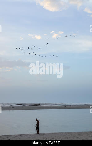 Silhouette von unidentifieable Mann am Strand entlang zu laufen während der Dämmerung mit ruhigen Ozean und Vögel Stockfoto