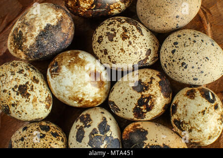 Ansicht von oben auf die wachteleier mit gefleckten Schalen auf Holzplatte. Stockfoto