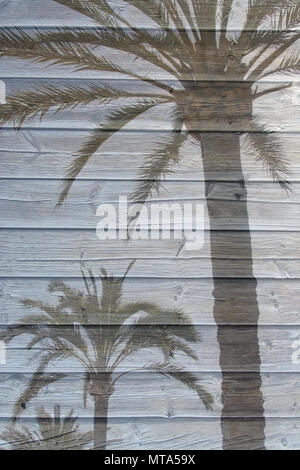 Palmen Schatten auf hölzernen boardwalk Planken Hintergrund Textur Stockfoto