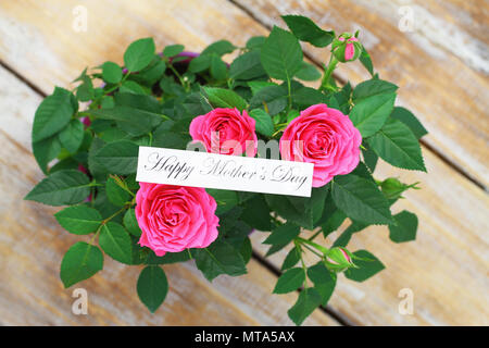 Happy Mother's Day Card mit rosa Wildrosen auf Holz- Oberfläche Stockfoto