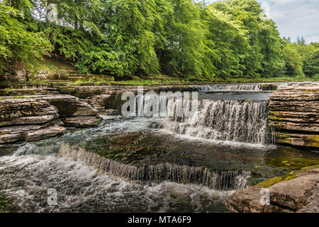 Lower Falls, Aysgarth, Wensleydale, Yorkshire Dales National Park, UK im späten Frühjahr mit sehr niedrigem Wasserstand Stockfoto