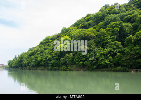 Arashiyama oder Mount Arashi, Kyoto, Japan. Stockfoto