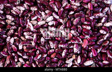 Schließen bis violette und weiße Bohnen Hintergrund als Textur. Gesunde vegetarische Lebensmittel, die reich an Spurenelementen. Gesunder Lebensstil essen. Stockfoto