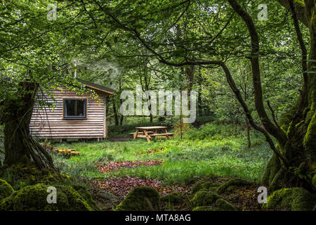 Hütte im Wald bei Glencoe Schottland. Sun Hervorhebung Kabine und Bäume von dunklen Bäumen eingerahmt. Stockfoto