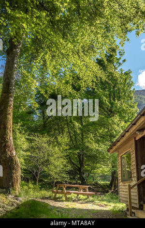 Hütte im Wald bei Glencoe Schottland. Sun Hervorhebung Kabine und Bäumen. Stockfoto