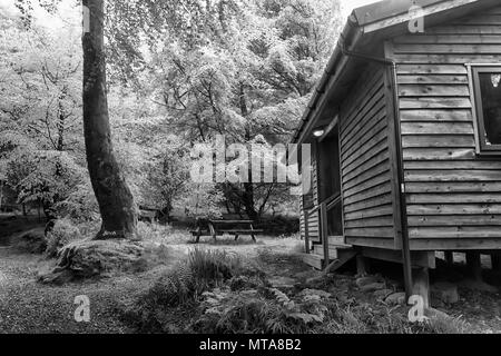 Hütte im Wald bei Glencoe Schottland Stockfoto