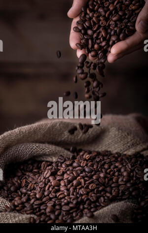 Erntegut Nahaufnahme der Hände mit Kaffeebohnen sack Gießen Stockfoto