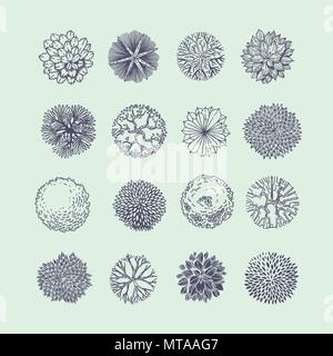 Bäume Ansicht von oben. Verschiedene Pflanzen und Bäume Vektor für Architektur oder Landschaft gestalten. Ansicht von oben Stock Vektor