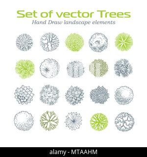 Bäume Ansicht von oben. Verschiedene Pflanzen und Bäume Vektor für Architektur oder Landschaft gestalten. Ansicht von oben Stock Vektor