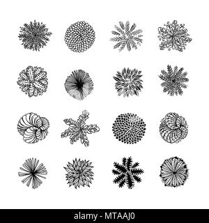 Bäume Ansicht von oben. Verschiedene Pflanzen und Bäume Vektor für Architektur oder Landschaft gestalten. Ansicht von oben Stock Vektor
