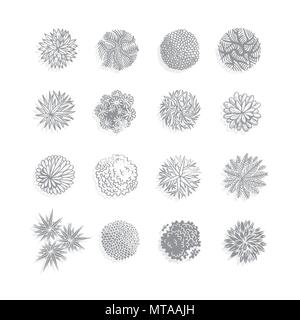 Bäume Ansicht von oben. Verschiedene Pflanzen und Bäume Vektor für Architektur oder Landschaft gestalten. Ansicht von oben Stock Vektor