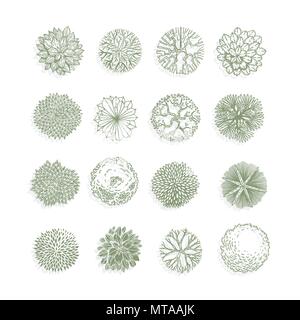 Bäume Ansicht von oben. Verschiedene Pflanzen und Bäume Vektor für Architektur oder Landschaft gestalten. Ansicht von oben Stock Vektor