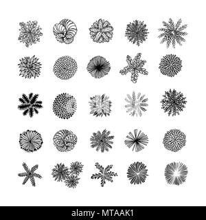 Bäume Ansicht von oben. Verschiedene Pflanzen und Bäume Vektor für Architektur oder Landschaft gestalten. Ansicht von oben Stock Vektor