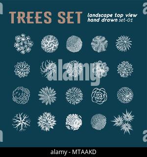 Bäume Ansicht von oben. Verschiedene Pflanzen und Bäume Vektor für Architektur oder Landschaft gestalten. Ansicht von oben Stock Vektor