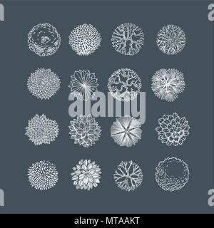 Bäume Ansicht von oben. Verschiedene Pflanzen und Bäume Vektor für Architektur oder Landschaft gestalten. Ansicht von oben Stock Vektor