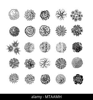 Bäume Ansicht von oben. Verschiedene Pflanzen und Bäume Vektor für Architektur oder Landschaft gestalten. Ansicht von oben Stock Vektor