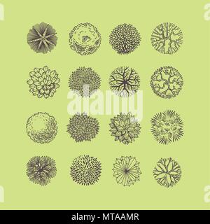 Bäume Ansicht von oben. Verschiedene Pflanzen und Bäume Vektor für Architektur oder Landschaft gestalten. Ansicht von oben Stock Vektor