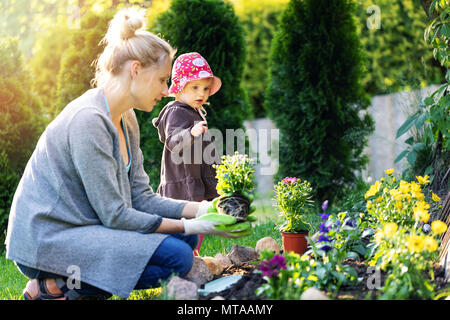 Mutter und Tochter Blumen Pflanzen zusammen in Home Garden Bed Stockfoto