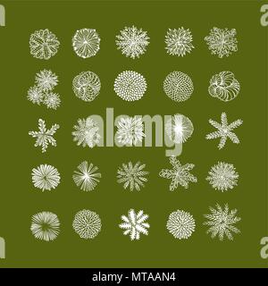 Bäume Ansicht von oben. Verschiedene Pflanzen und Bäume Vektor für Architektur oder Landschaft gestalten. Ansicht von oben Stock Vektor