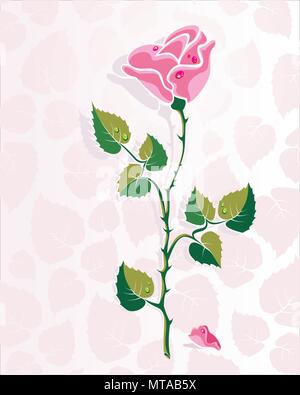 Rose Vector, Rosa, Illustration von Rosen, Rosenblätter, Vector, Vektor Blume Blumen, Rosenblätter, festliche Rose, Vektor Rosen Stock Vektor