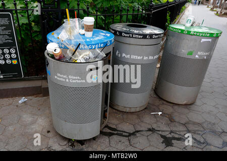 Müll und gemischte Wertstoffe werden in New York City in den falsch farbcodierten Papierkorb gelegt Stockfoto