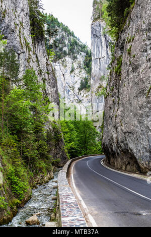 Die schöne Gyilkos-tó und Békási-szoros Stockfoto