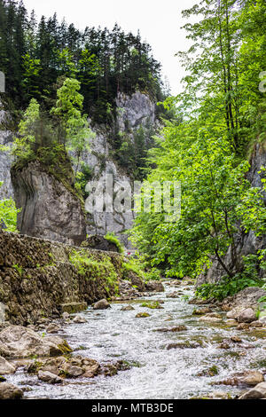 Die schöne Gyilkos-tó und Békási-szoros Stockfoto