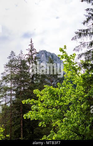 Die schöne Gyilkos-tó und Békási-szoros Stockfoto